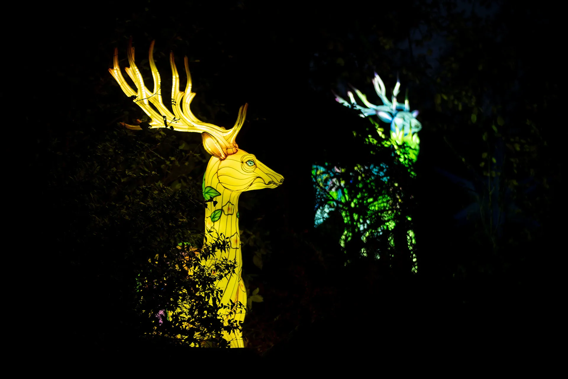 Lightopia Deer