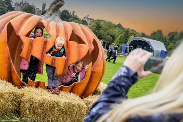 A Pumpkin during October Half Term Halloween Holidays